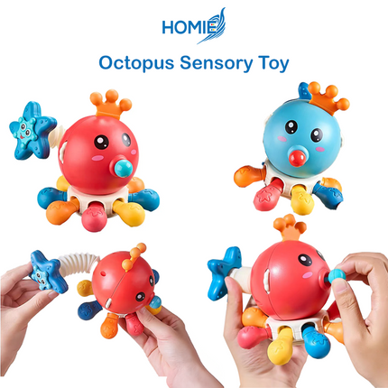 Octopus Sensory Toy (1 year + )
