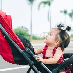 Collection image for: Strollers & Travel Gear