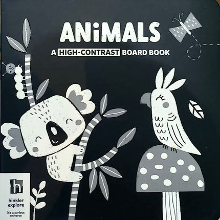 Children Book - Hinkler