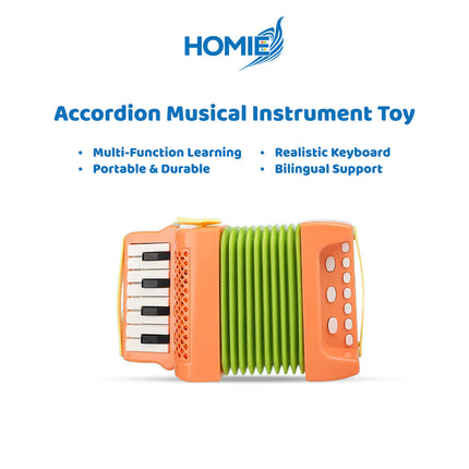 Accordion Musical Instrument Toy
