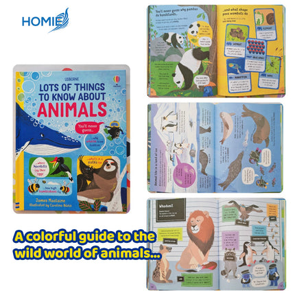 STEM EDUCATIONAL BOOKS SET science technology engineering math learning series (Early Development Kids)