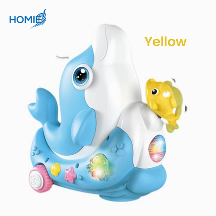Dolphin Concert Music Toy