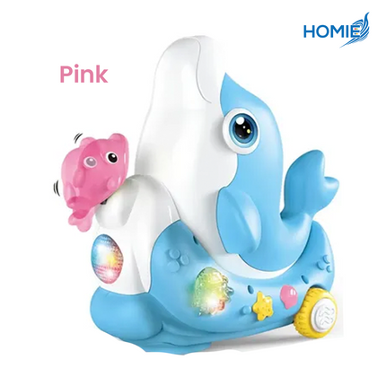Dolphin Concert Music Toy