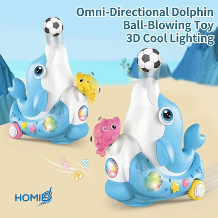 Dolphin Concert Music Toy