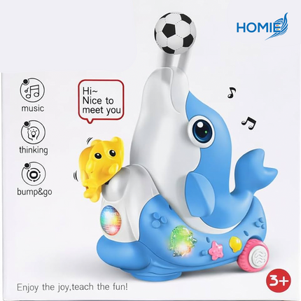 Dolphin Concert Music Toy