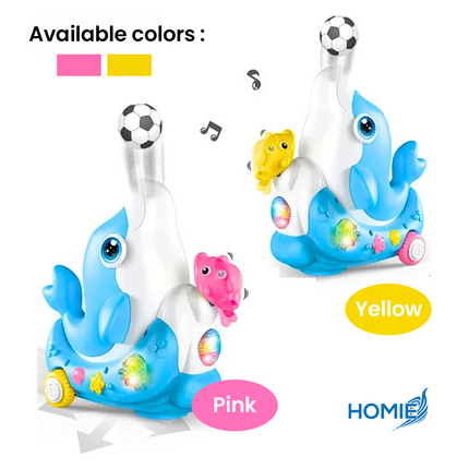 Dolphin Concert Music Toy