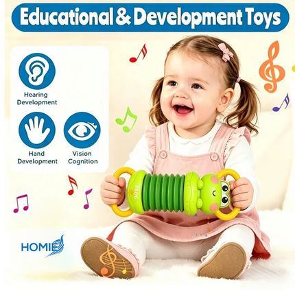 Children's accordion toys