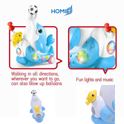 Dolphin Concert Music Toy
