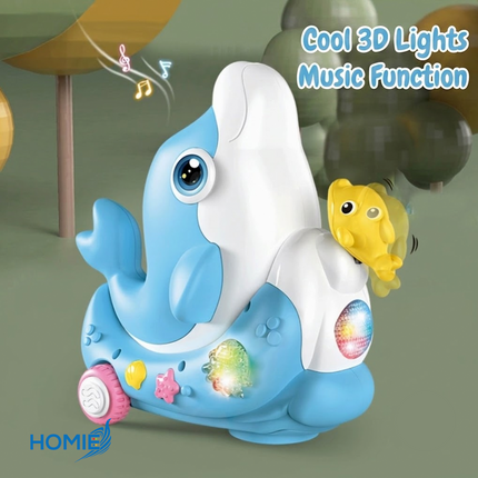 Dolphin Concert Music Toy