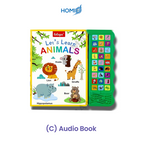 (C) Audio Book