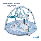 Blue Ocean Animal Play Gym