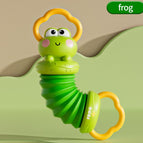 Frog Accordion