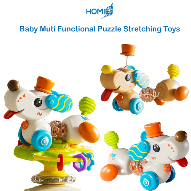 Baby Muti Functional Puzzle Stretching Toys