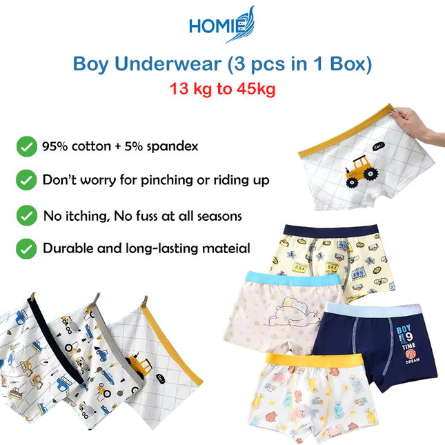 Boy Underwear (13 kg to 45kg - 3 pcs in 1 Box)