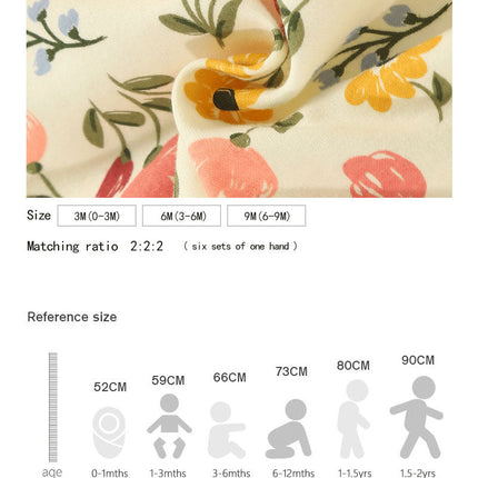 Cotton Clothes for Babies Three-Piece Set Romper (Newborn to 9 Months)