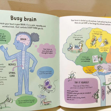 STEM Books education, fun and development for Kids