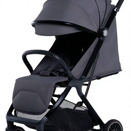 HOMIE T9 Series Single and Twin Strollers