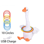Head-Turning White Goose