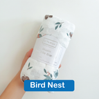 Bird Nest