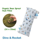 Dino & Rocket