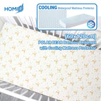 POLAR BEAR + Cooling