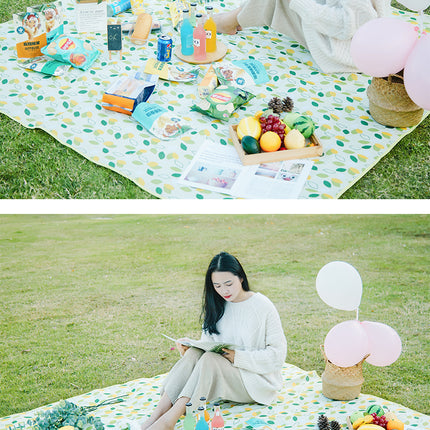Portable Beach Mat