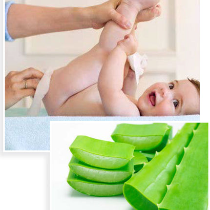 #Wet Wipe Basic-Cap 800 (80 sheets x 10 packs)#Gomdoli Korea Organic Baby Wet Tissue | Kids Adult Wet wipes